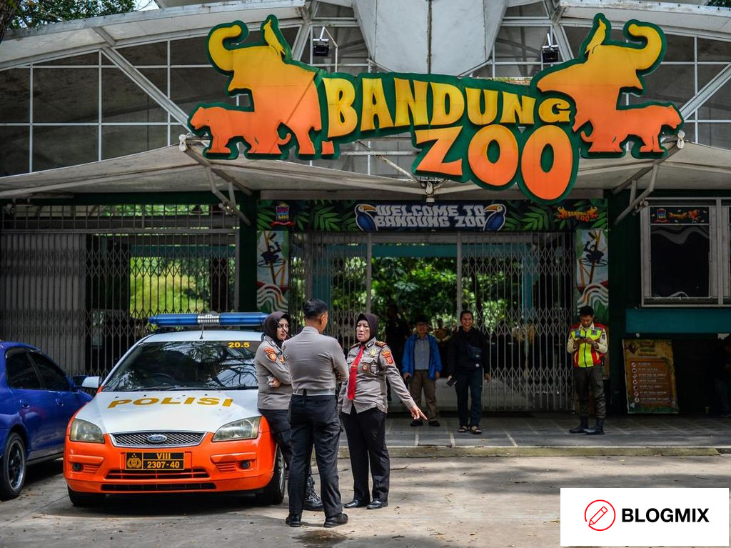 Operasional Bandung Zoo Ditutup! Begini Nasib Satwa-satwa Mereka
