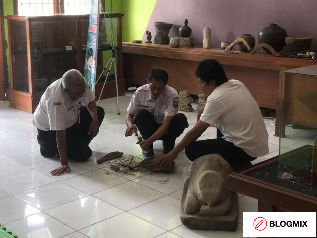 Tak Cuma Tanduk Raksasa, Warga Blora Juga Temukan Tengkorak Kerbau Purba
