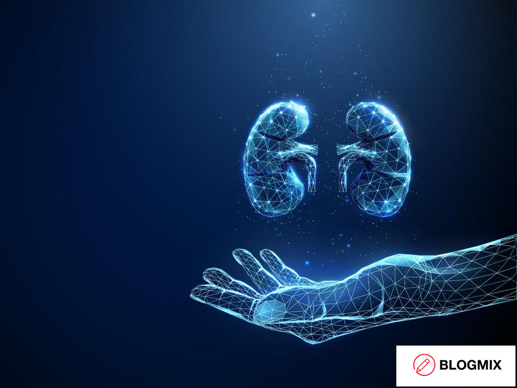 Tanda-tanda Ginjal Tidak Sehat yang Sering Diabaikan